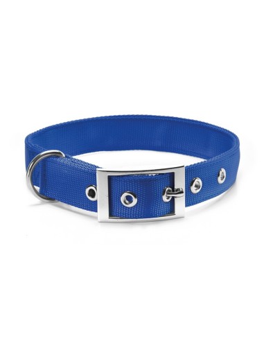 Double layer nylon dog collar with buckle - Record
