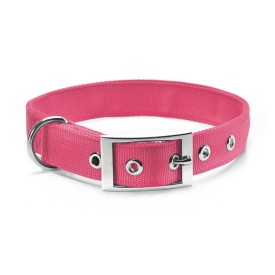 Double layer nylon dog collar with buckle - Record