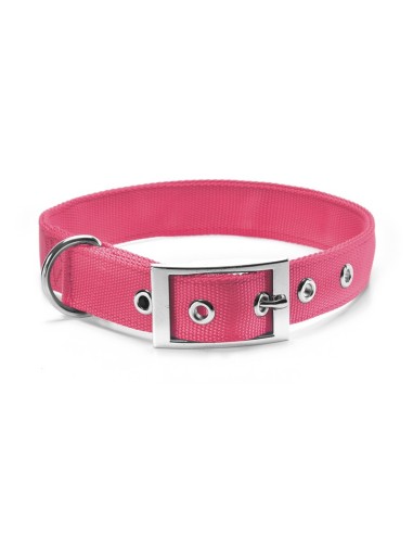 Double layer nylon dog collar with buckle - Record