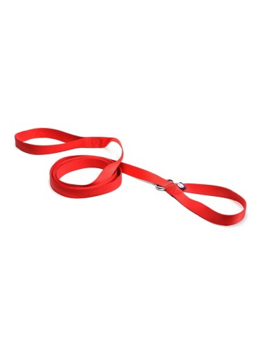 Dog training leash with choke - Record