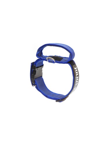 Dog Collar with handle Color & Gray - Julius K9