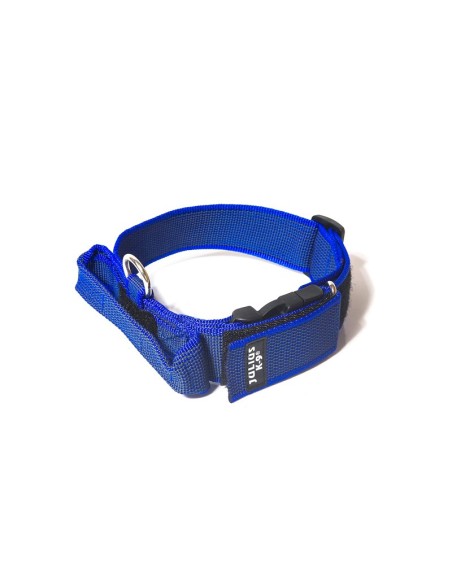 Dog Collar with handle Color & Gray - Julius K9
