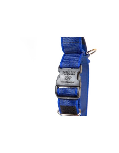 Dog Collar with handle Color & Gray - Julius K9