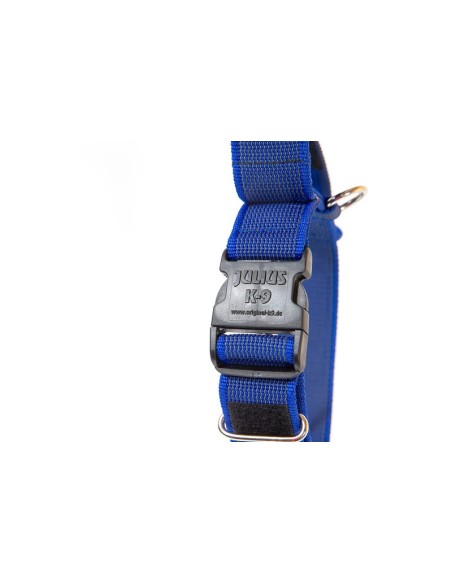 Dog Collar with handle Color & Gray - Julius K9