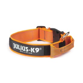 Dog Collar with handle Color & Gray - Julius K9