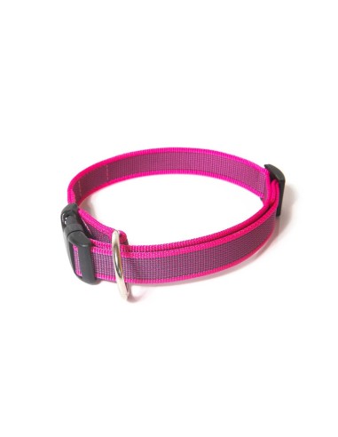 Dog collar Color & Gray - Julius K9
