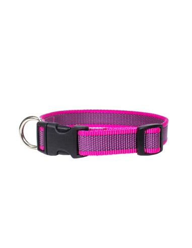 Dog collar Color & Gray - Julius K9