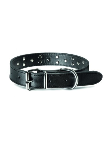 Leather dog collar with adjustable buckle and studs - Record