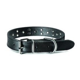 Leather dog collar with adjustable buckle and studs - Record