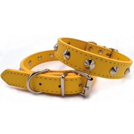 Faux leather dog collar with tiny studs - Record
