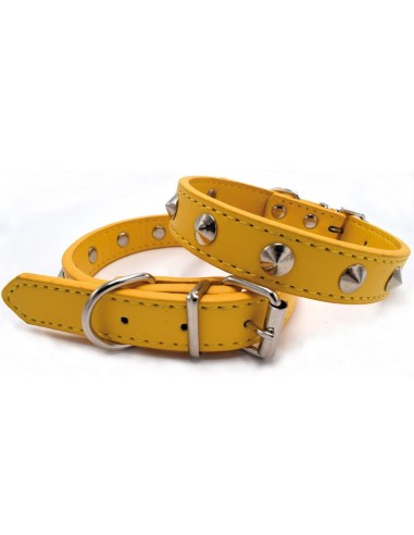Collare per cani in similpelle con piccole borchie - Record