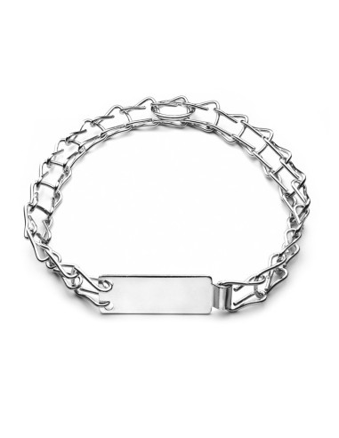 Ladder dog collar with tag - Record
