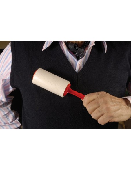 Adhesive roll brush for fabric removal - Record