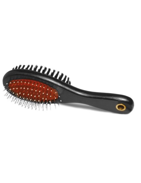 Double brush with steel pins and bristles - Record