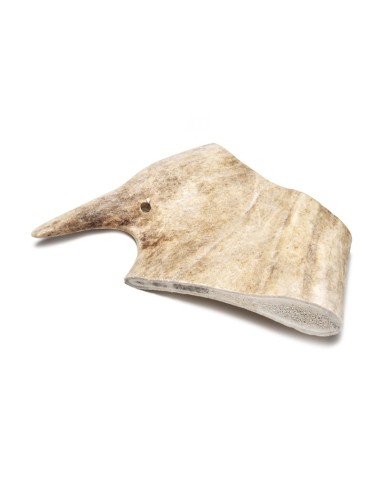 Anima Selvaggia fallow deer antlers - BestBone