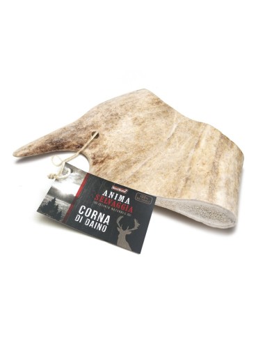 Anima Selvaggia fallow deer antlers - BestBone