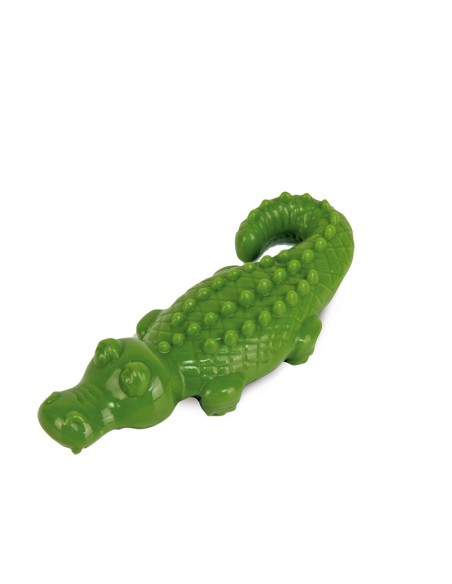 Nylon dog toy Forti Morsi - Record