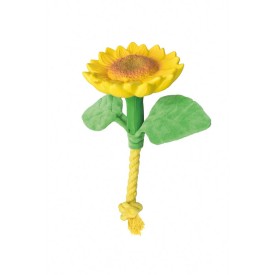 Latex dog toy with squeak Veggy Flowers - Record