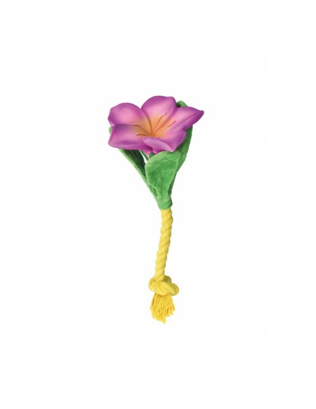 Latex dog toy with squeak Veggy Flowers - Record