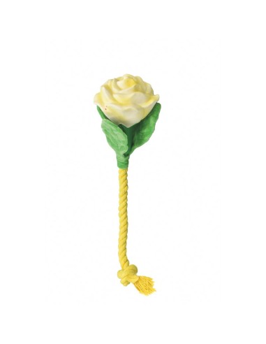 Latex dog toy with squeak Veggy Flowers - Record