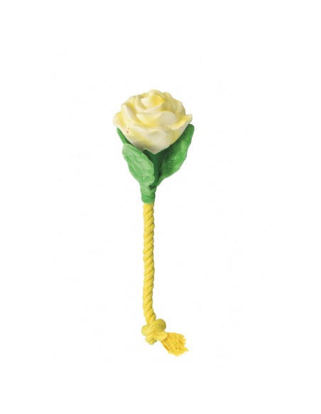 Latex dog toy with squeak Veggy Flowers - Record