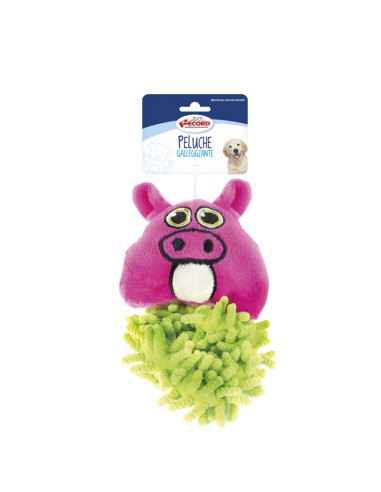 Floating dog toys with squeaker Funny Face - Record