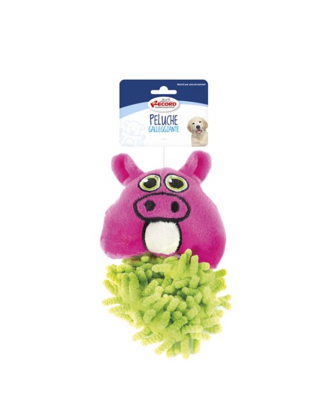 Floating dog toys with squeaker Funny Face - Record