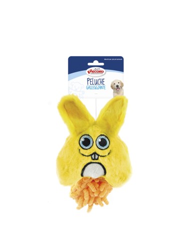 Floating dog toys with squeaker Funny Face - Record