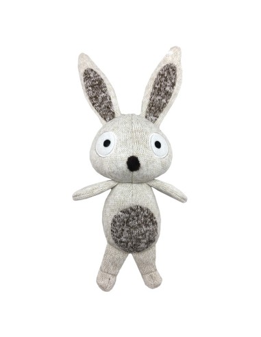 Softy dog toys with squeaker - Record