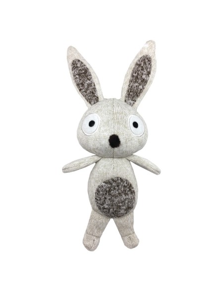 Softy dog toys with squeaker - Record