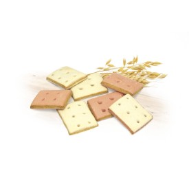 Sandwich meat and fish biscuits for dogs Biscodog - Record