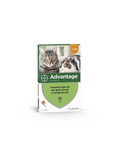 Advantage cat and rodent spot-on 4 vials - Advantage