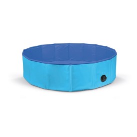 Piscina per cani - Record