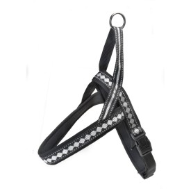 Disney Pluto dog harness - Record