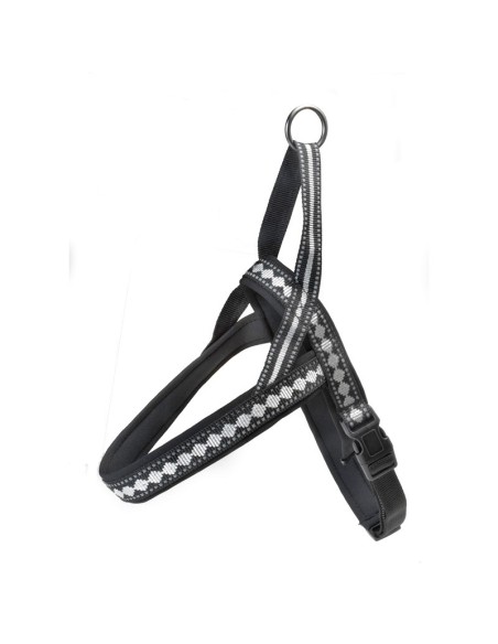 Disney Pluto dog harness - Record