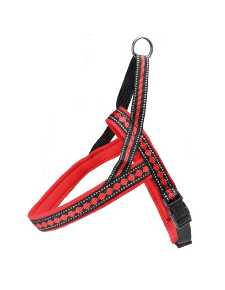 Disney Pluto dog harness - Record