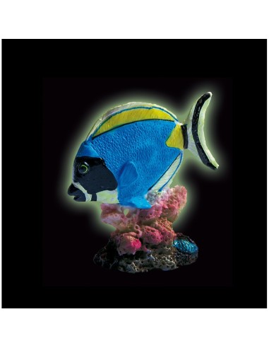 Decorazione acquario pesce fosforescente conf. 20 pcs - Acquafriend