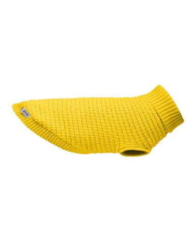 Autunno sweater for dogs - Record