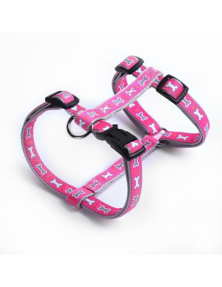 Dog harness Ossicini - Record