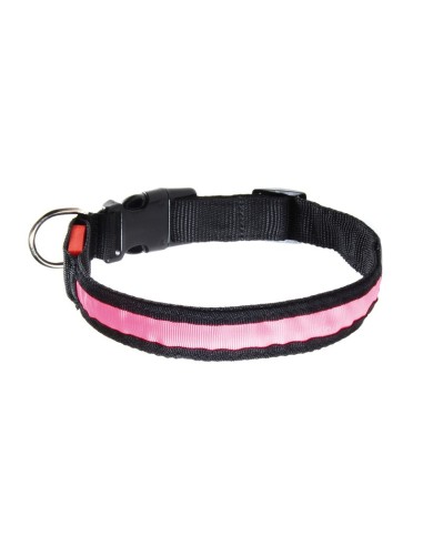 Led line nylon dog collar - Record