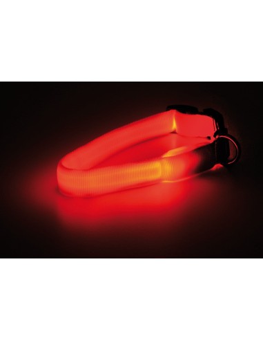 Collare per Cane Nylon linea Led - Record