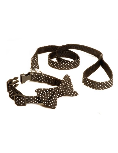 Pois parure for dogs - Record