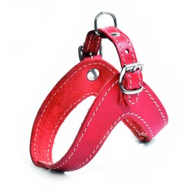 Boomerang leather dog harness - Record
