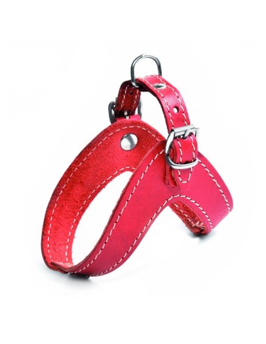 Boomerang leather dog harness - Record Boomerang leather dog harness - Record