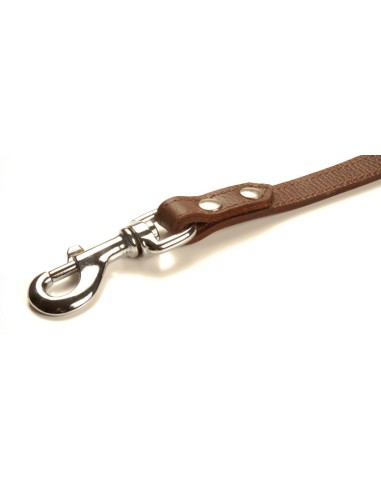 Leather dog leash Laredo - Record