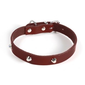 Studded leather dog collar - Record