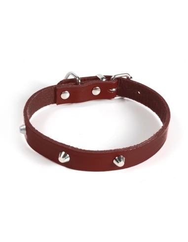 Studded leather dog collar - Record