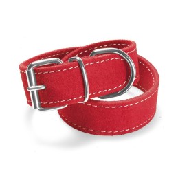 Double suede dog collar - Record