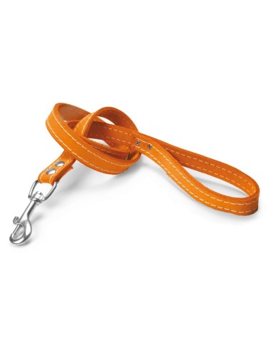 Double suede dog lead - Record