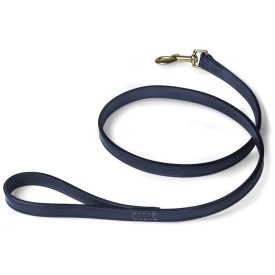 Hand sewn leather dog leash - Record